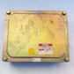Engine Control Unit Hino Profia K13C 89560-2491A 407910-3891